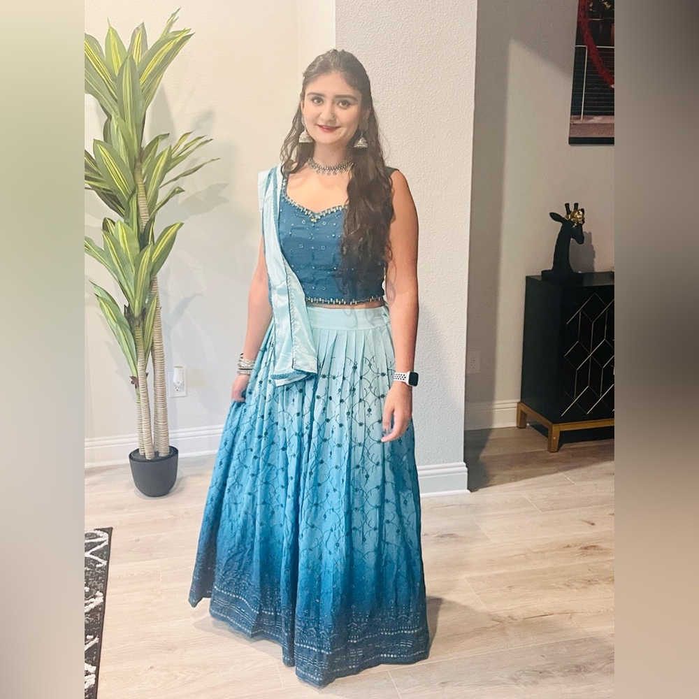 Gorgeous descending Baby Blue Lehenga (6/8)